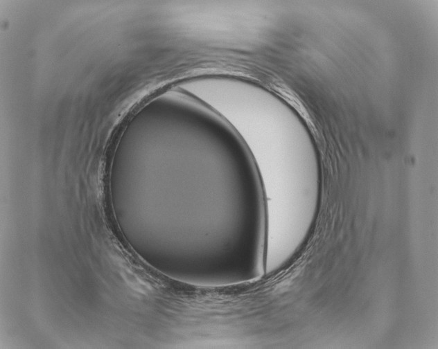 X0000088210387200706121811