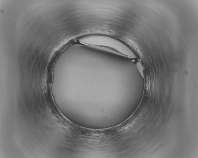 X0000088210388200706121811