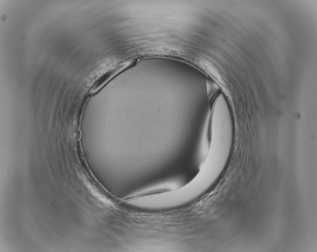 X0000088210389200706121810