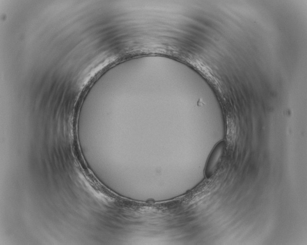 X0000088210390200706121810