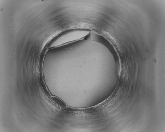 X0000088210392200706121810