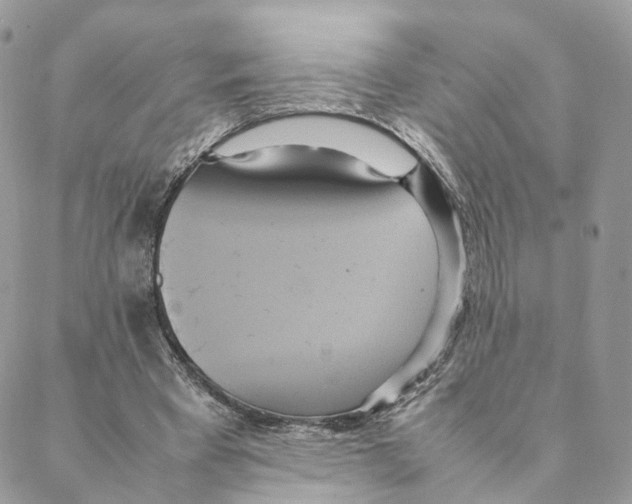 X0000088210393200706121810