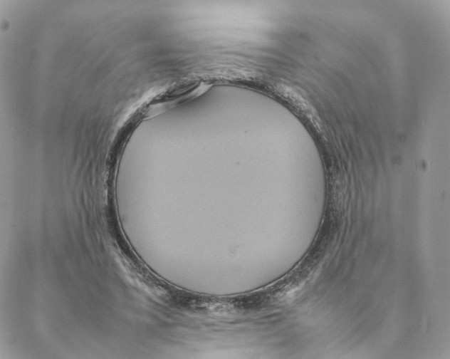 X0000088210395200706121810