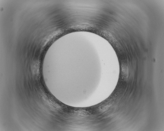 X0000088210396200706121810