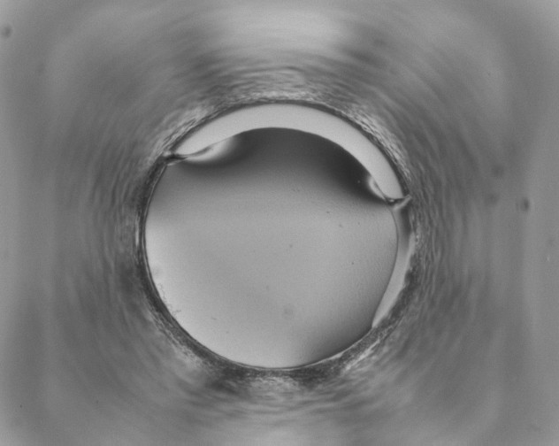 X0000088210397200706121810