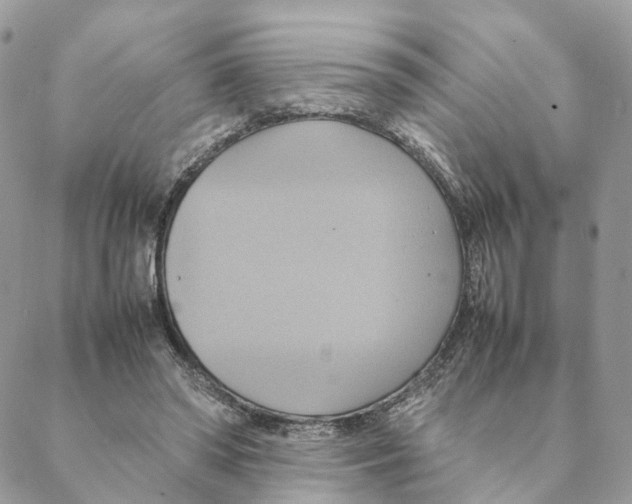 X0000088210398200706121810