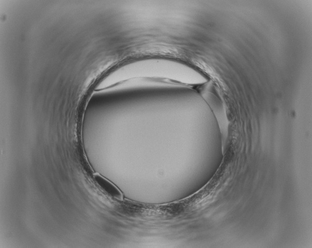 X0000088210399200706121810