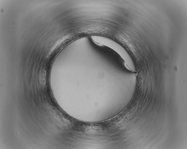 X0000088210400200706121810