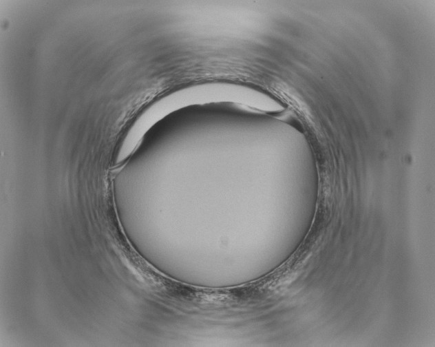 X0000088210401200706121810