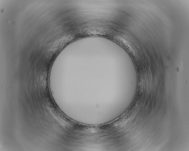 X0000088210402200706121810