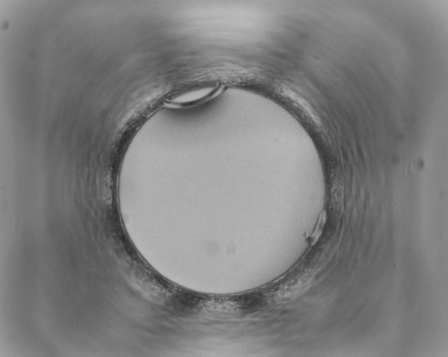 X0000088210403200706121810