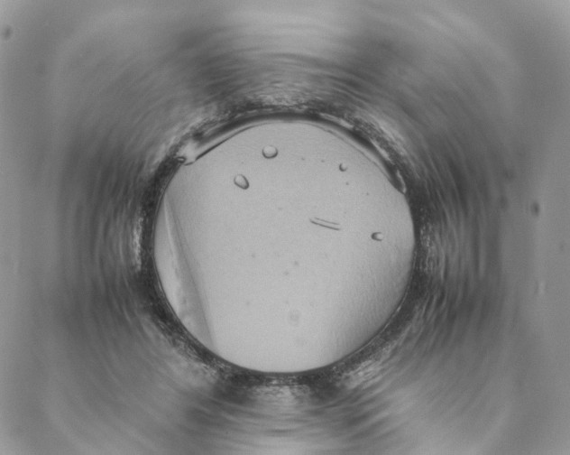 X0000088210404200706121810