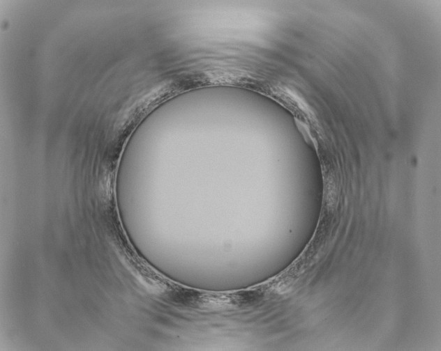 X0000088210405200706121810