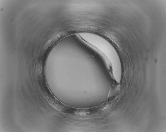 X0000088210407200706121810