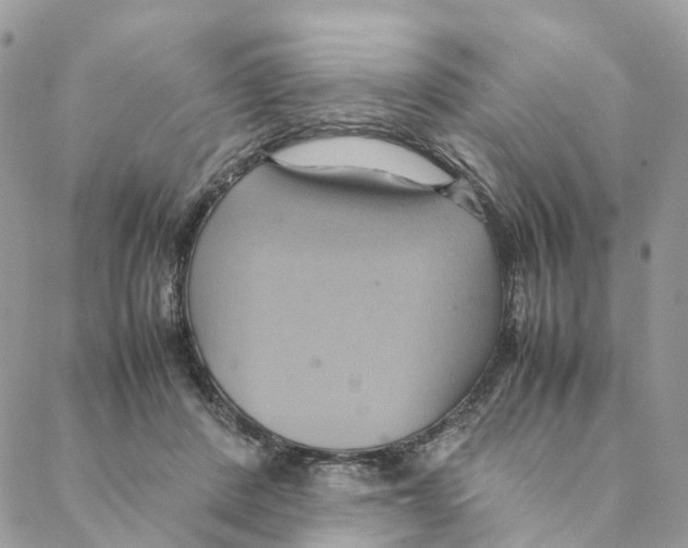 X0000088210408200706121810