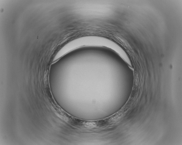 X0000088210409200706121810