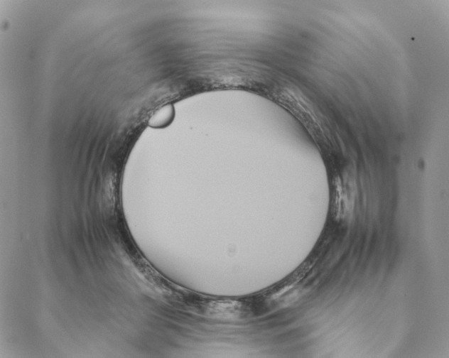 X0000088210410200706121810