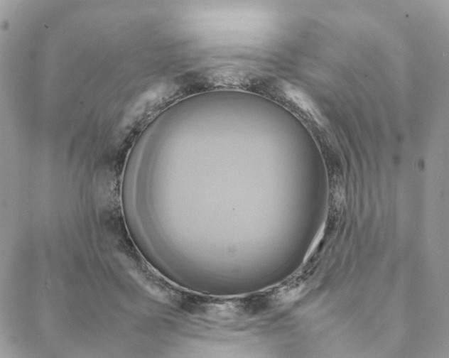 X0000088210411200706121810