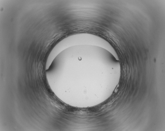 X0000088210412200706121810