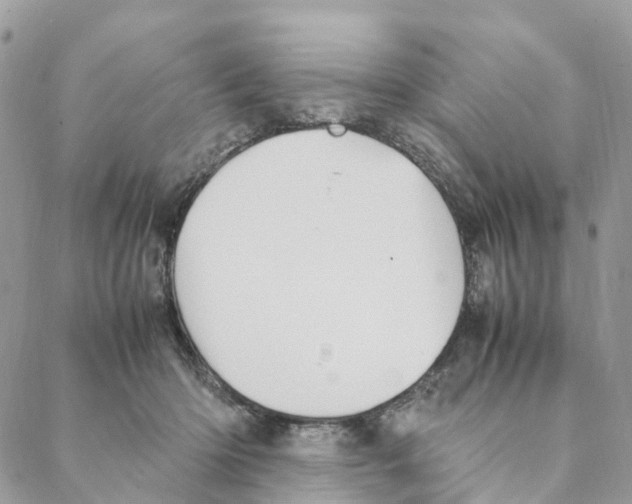 X0000088210414200706121810