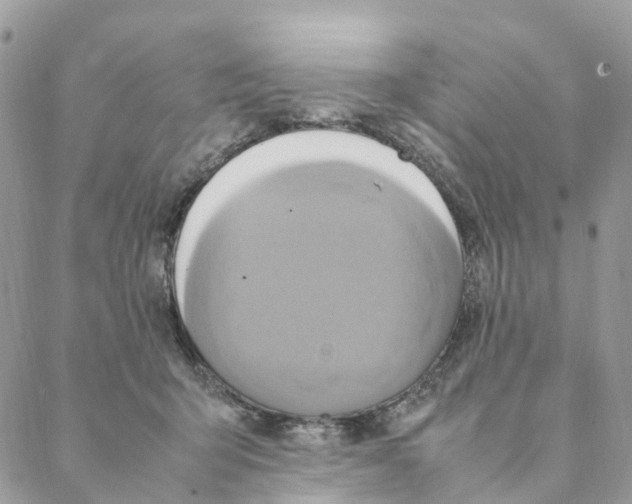 X0000088210415200706121810