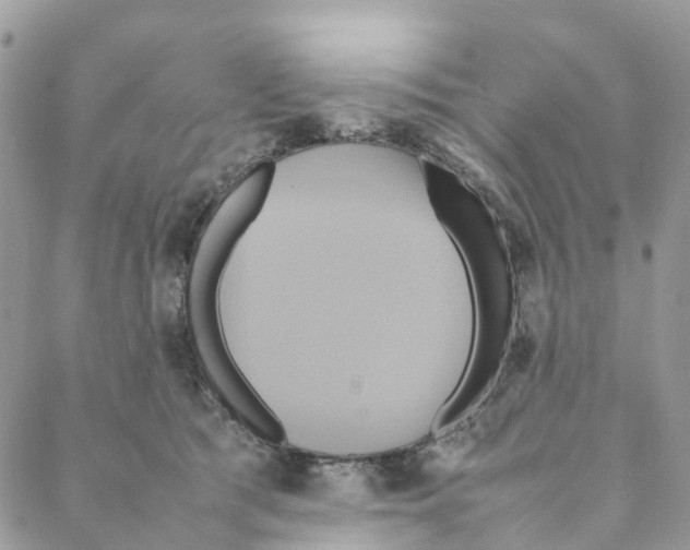 X0000088210417200706121810