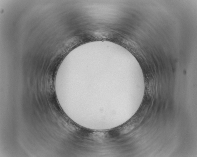 X0000088210418200706121810