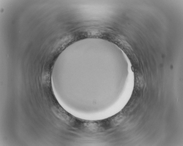 X0000088210419200706121810