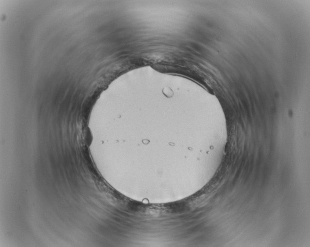 X0000088210420200706121810