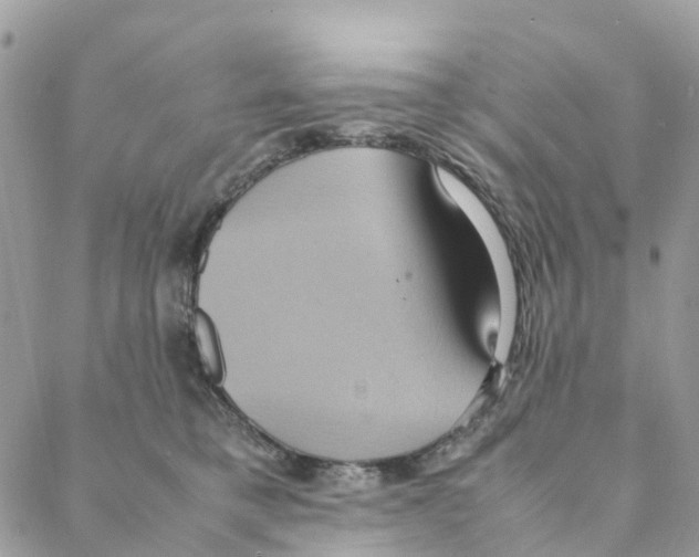 X0000088210421200706121810