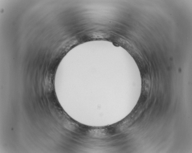 X0000088210422200706121810