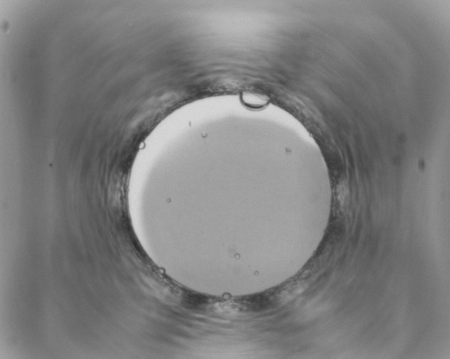 X0000088210423200706121810