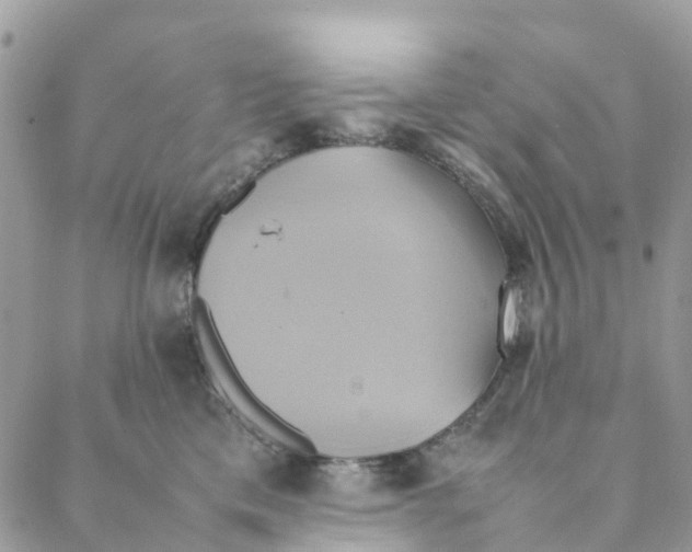 X0000088210425200706121810