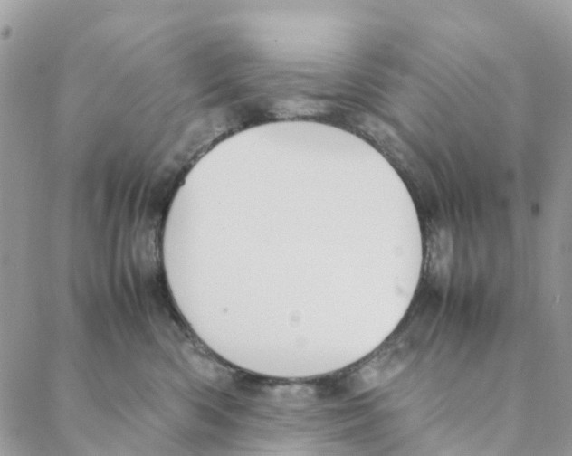 X0000088210426200706121810