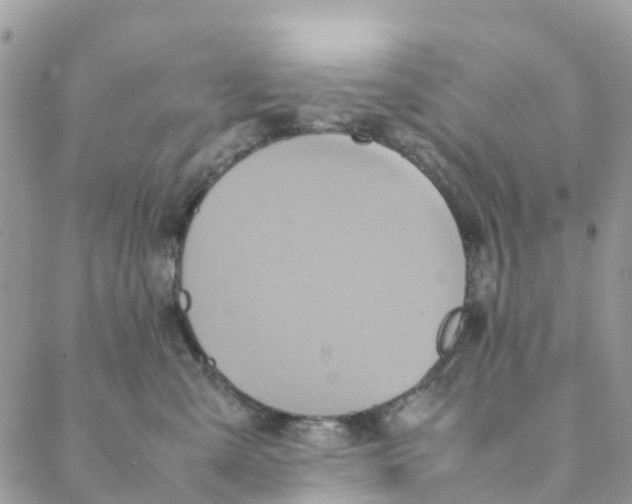 X0000088210427200706121810