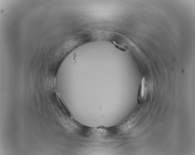 X0000088210429200706121810