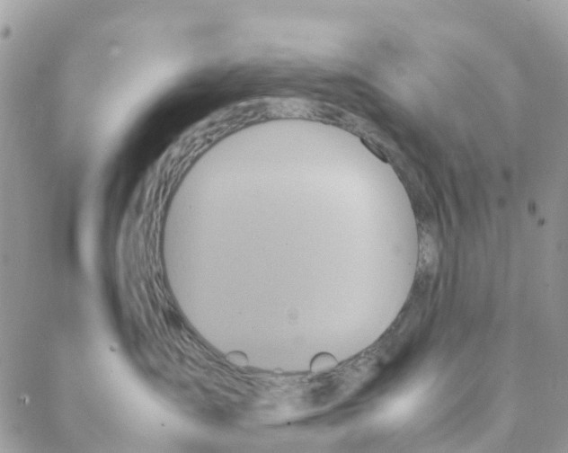 X0000088210431200706121810