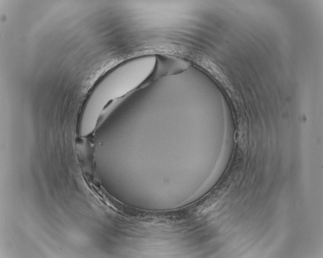 X0000088210434200706121809