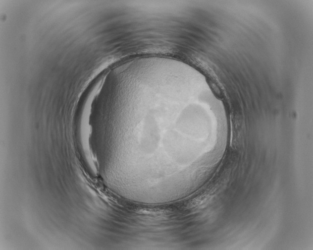 X0000088210435200706121809