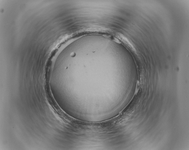 X0000088210436200706121809