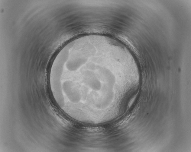 X0000088210439200706121809