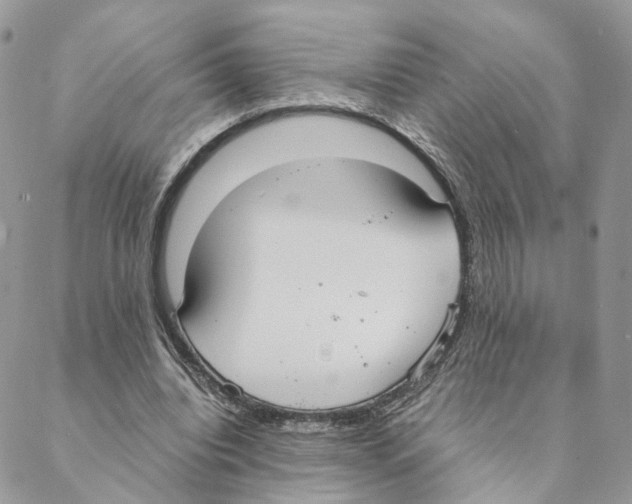 X0000088210440200706121809