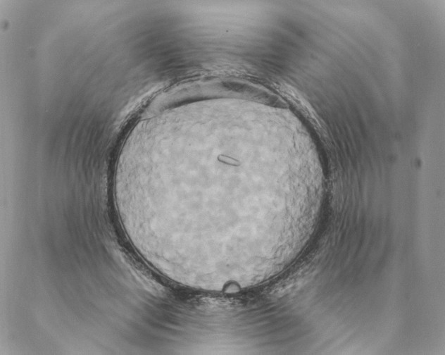 X0000088210442200706121809