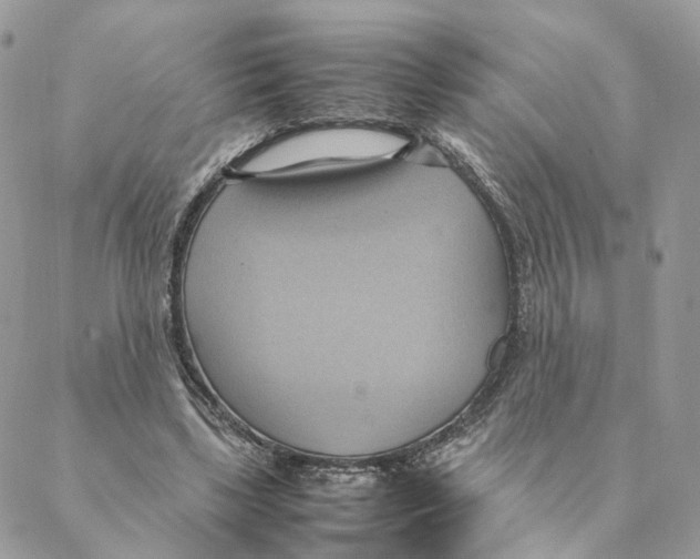 X0000088210443200706121809