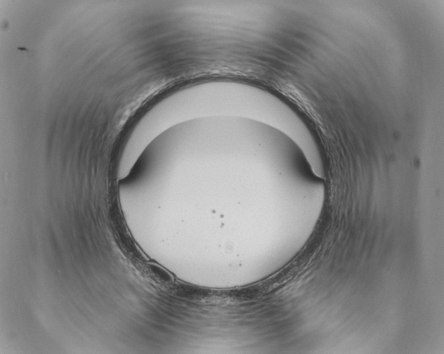 X0000088210444200706121809