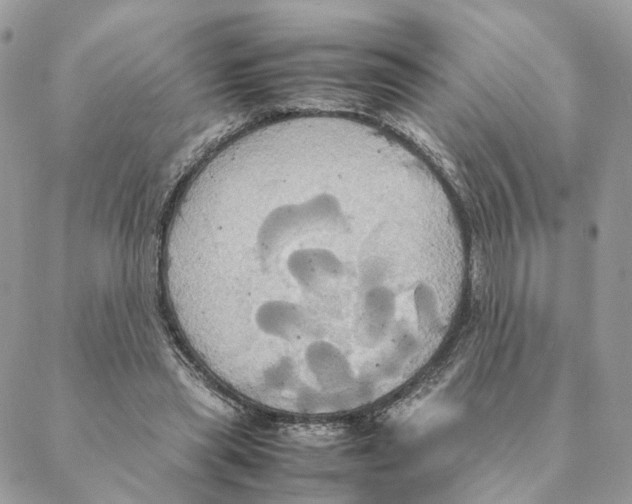 X0000088210445200706121809