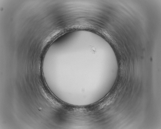 X0000088210446200706121809