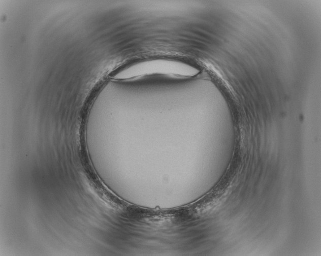 X0000088210447200706121809