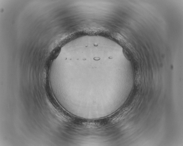 X0000088210448200706121809