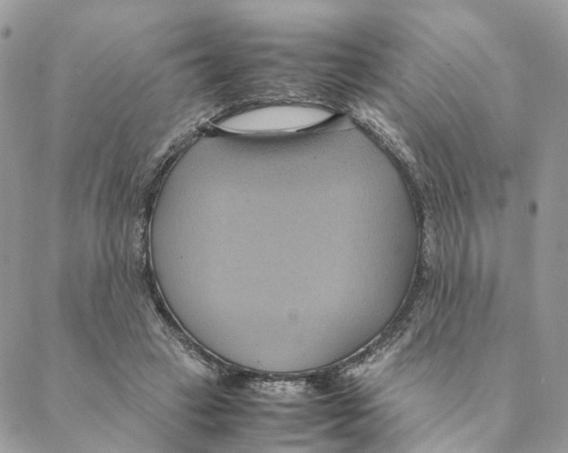 X0000088210449200706121809